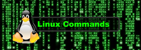 Tổng hợp các lệnh thường dùng trên Linux