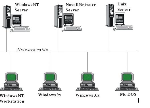 Mạng 01: Tổng Quan Về Mạng Máy Tính Và Các Khái Niệm Cơ Bản