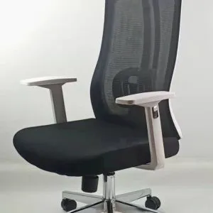 Mẫu ghế nhựa chân Crom cao cấp cho không gian văn phòng hiện đại