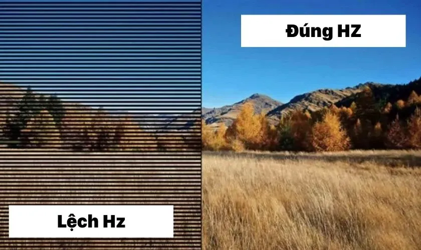 Kiểm tra và thay đổi Refresh Rate trong cài đặt Windows 10