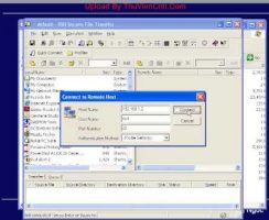Cài đặt anti virus Clamav trên CentOS – LAB LPI 2 (39)