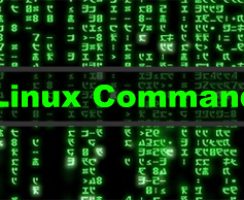 Tổng hợp các lệnh thường dùng trên Linux