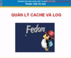 Quản lí cache và log của Proxy trên Fedora – Lab Fedora phần 2