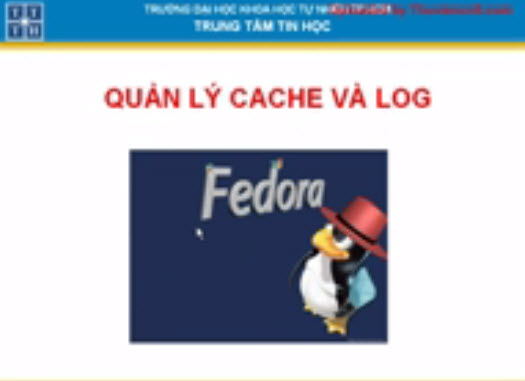 Quản lí cache và log của Proxy trên Fedora - Lab Fedora phần 2