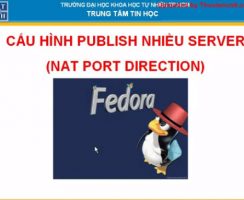 Cấu hình Publish nhiều Server thông qua cơ chế NAT – Lab Fedora phần 2