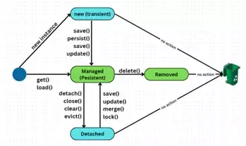 Vòng đời sinh trưởng và chuyển đổi trạng thái của một Entity