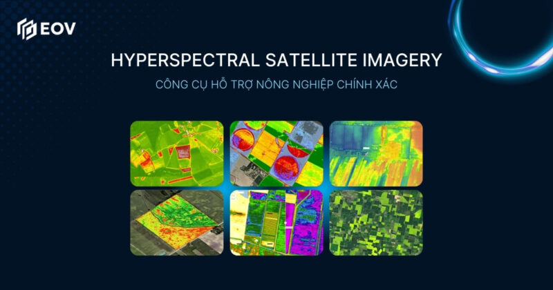 Công Ty TNHH Dịch Vụ Tin Học Siêu Tốc Và Mã Số Thuế Chi Tiết