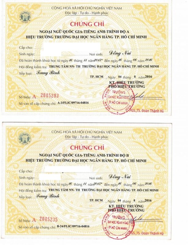 Chứng Chỉ Tin Học B Tiếng Anh Là Gì? Phân Biệt Với Chứng Chỉ A
