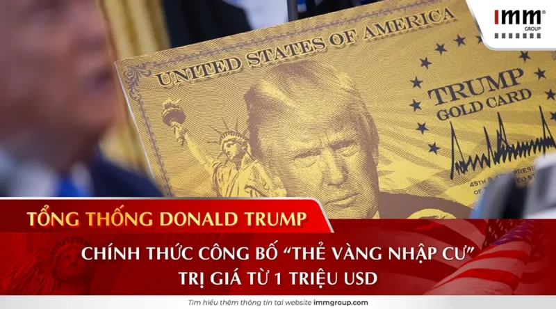Công Ty TNHH Dịch Vụ Tin Học Siêu Tốc Và Mã Số Thuế Chi Tiết
