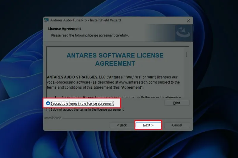 I accept the terms in the license agreement