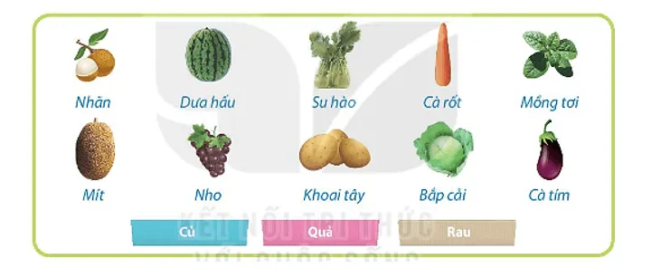 Bài tập phân loại rau củ trong đề thi môn tin học lớp 3 học kì 1