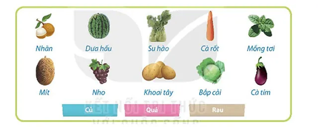 Bài tập phân loại thông tin hỗ trợ ôn tập tin học lớp 3