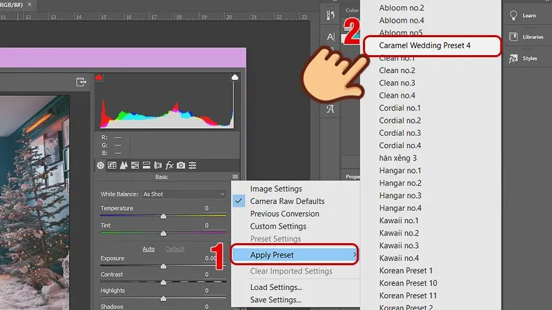 Preset đã được thêm vào danh sách Apply Preset