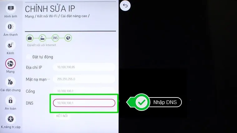 Nhập DNS (thường mặc định là 10.100.100.1)