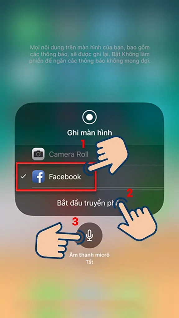 Chọn vào Facebook và nhấn vào Bắt đầu truyền phát.