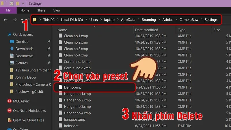Xóa file preset trực tiếp trong thư mục Settings