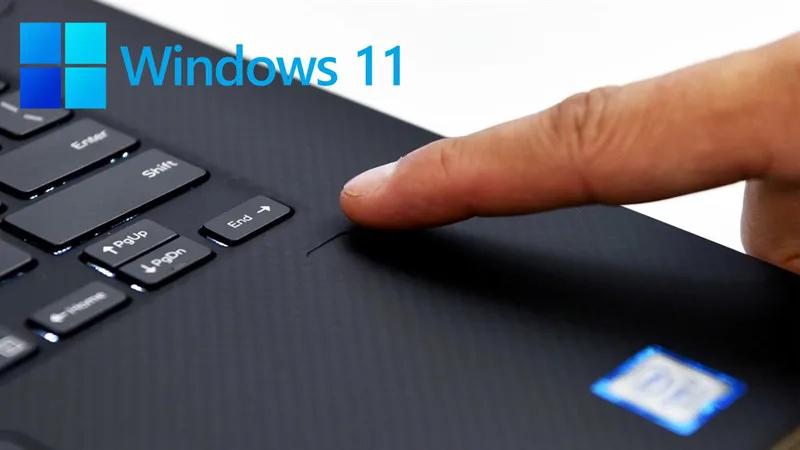 Cài vân tay cho Windows 11 trên laptop