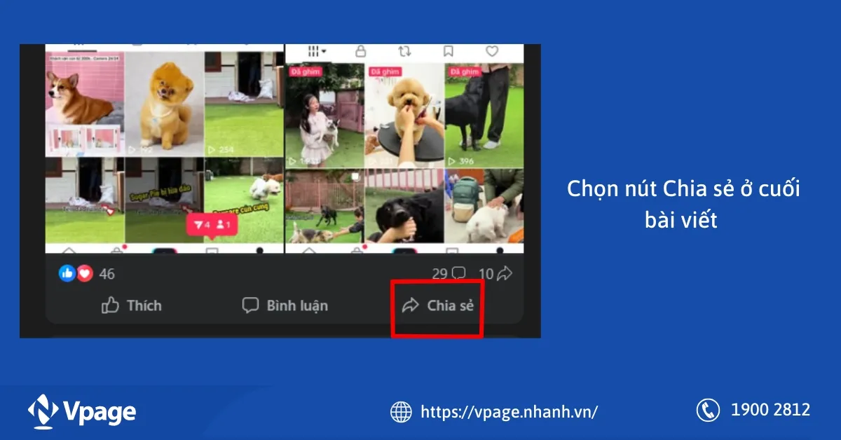 Chọn biểu thương Chia sẻ ở phía bên dưới bài viết