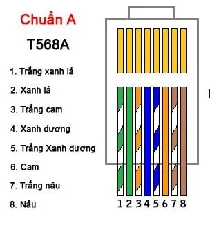 cap bam chuan a