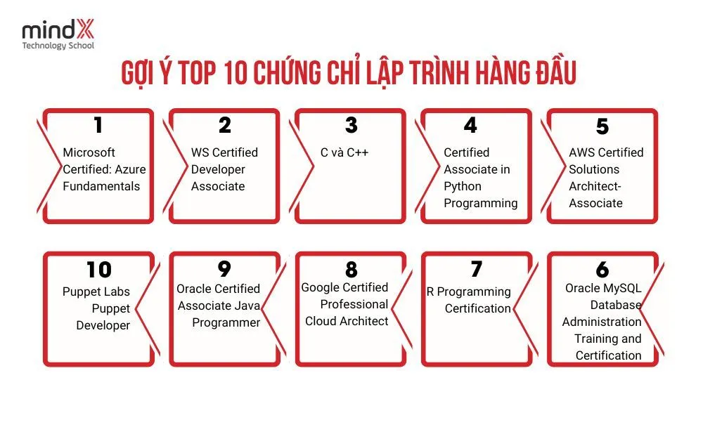 chung-chi-lap-trinh (3).jpg