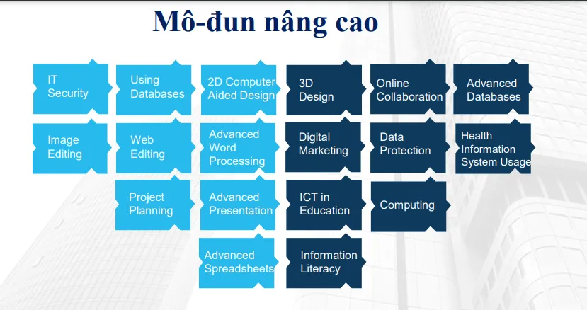 Danh sách các môn học nâng cao trong chương trình ICDL