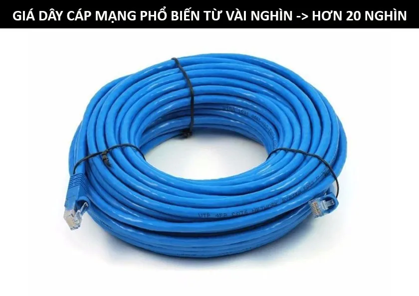 Dây cáp mạng - Ảnh 4