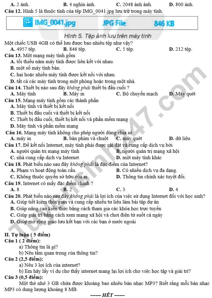 Đề thi giữa học kì 1 môn Tin học lớp 6 trường THCS Ngô Gia Tự năm 2024 trang 2