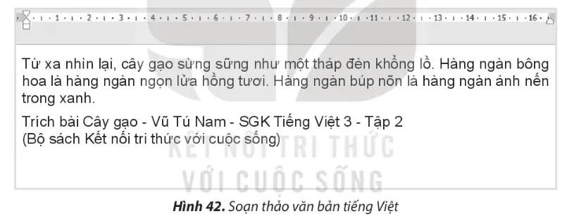 Đoạn văn mẫu thực hành về cây dừa để học sinh rèn luyện kỹ năng gõ văn bản
