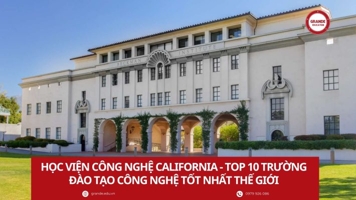Thông Tin Là Gì Tin Học? Cẩm Nang Toàn Diện Về Ngành Công Nghệ