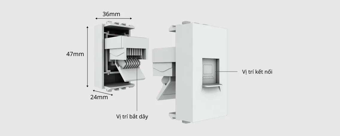 Cấu tạo chi tiết các thành phần bên trong một hạt mạng âm tường