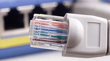 Đút dây vào đầu RJ45 đúng vị trí