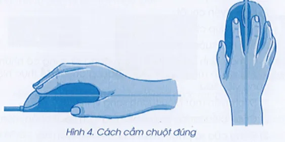 Hướng dẫn tư thế cầm chuột bằng tay phải đúng quy định