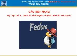 Thiết lập cấu hình mạng trên Fedora – Lab Fedora phần 1
