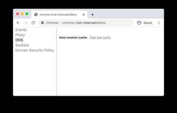Giao diện điều khiển net-internals của Chrome dùng để xóa cache DNS nội bộ