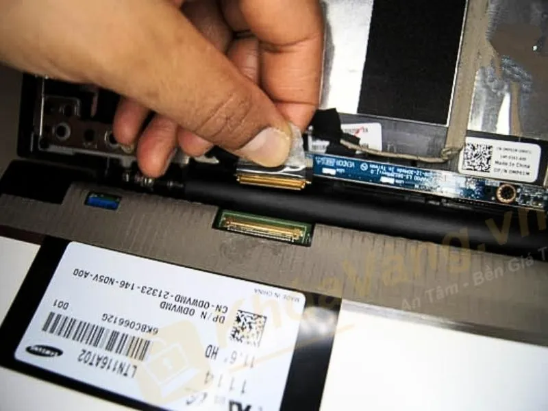 khắc phục màn hình laptop bị nhòe màu hồng