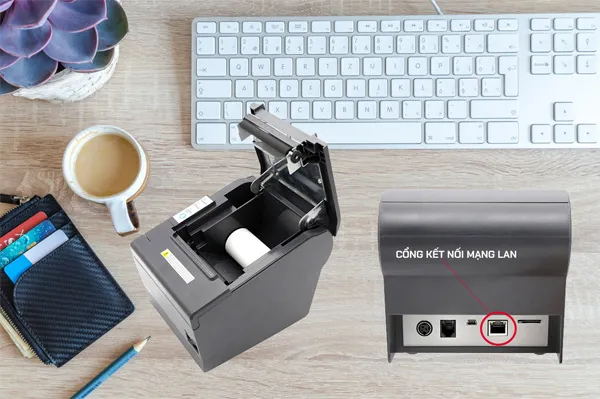 Cấu tạo cổng kết nối máy in LAN