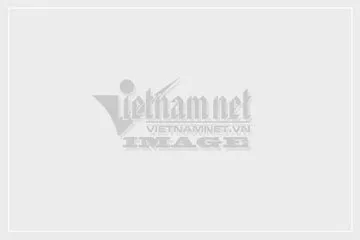 Người dân sử dụng các thiết bị công nghệ thông minh trong đời sống hàng ngày