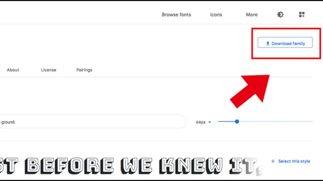 Nhấn Download family để tải bộ font về máy