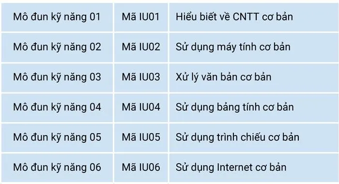 Nội dung 6 module cơ bản trong chương trình đào tạo kỹ năng CNTT