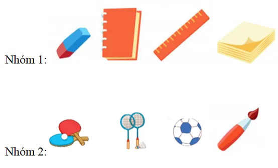Phân loại các nhóm đồ dùng học tập và dụng cụ thể thao khác nhau trong thực tế