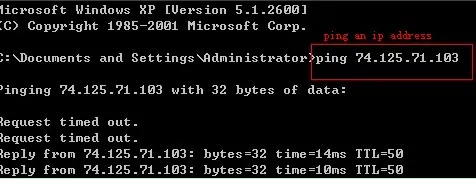 Kiểm tra phản hồi lệnh ping máy in