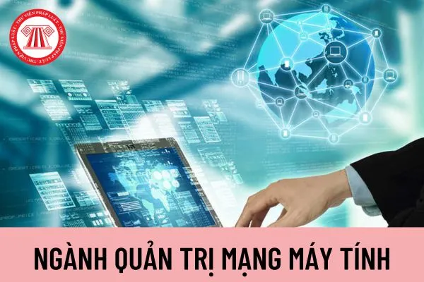 Quản trị hạ tầng mạng máy tính chuyên nghiệp tại doanh nghiệp