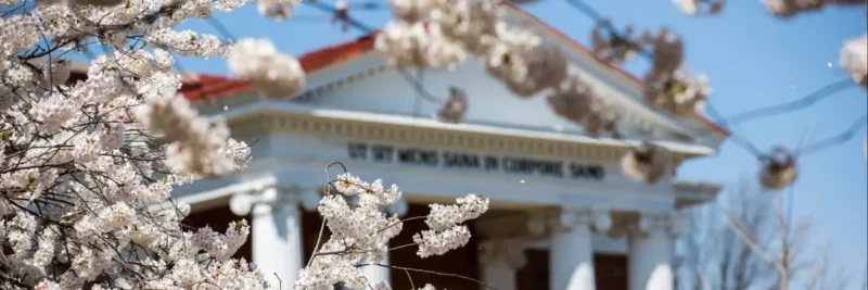 Tin Học Lớp 2 Bài 1: Tập Gõ Các Phím Ở Hàng Cơ Sở