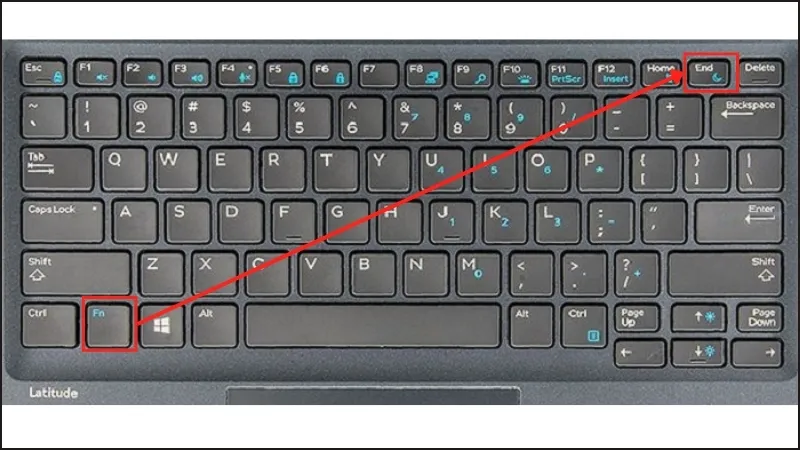 Nhấn tổ hợp phím Fn + Sleep Buttons