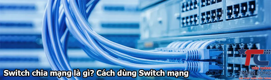 Switch chia mạng là gì? Cách dùng Switch chia mạng phù hợp