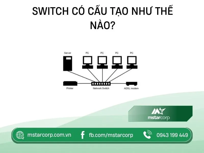 cau-tao-cua-switch