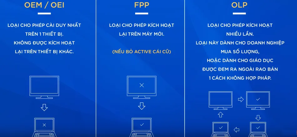 Các phân loại bản quyền Windows phổ biến mà người dùng cần lưu ý