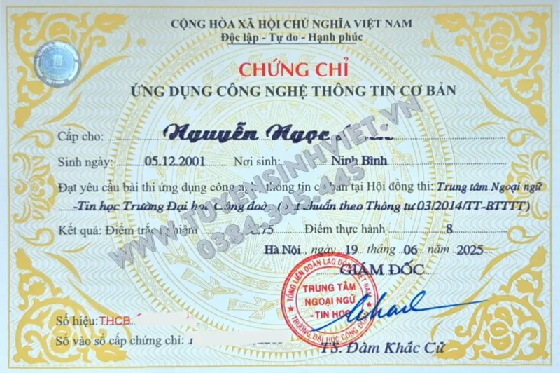 Chứng Chỉ Tin Học Cơ Bản Có Thời Hạn Không? Quy Định Mới Nhất