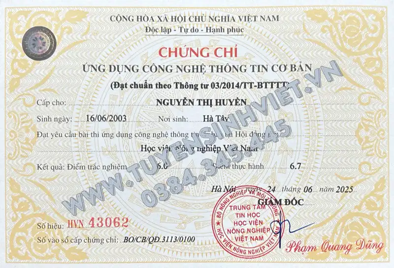 đề thi chứng chỉ tin học cơ bản và Hướng dẫn Toàn diện