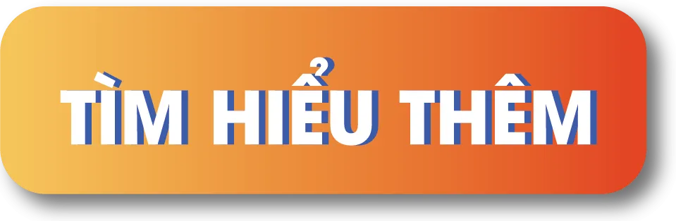 Lộ trình học tập lập trình chuyên nghiệp